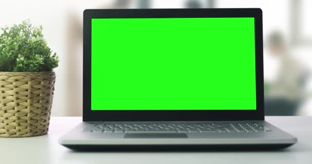 オフィスのフラワーポットとテーブルの上に空白の緑色の画面を持つラップトップコンピュータ — ストック動画