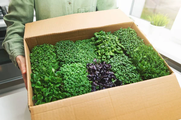 Comida vegana - mujer sosteniendo caja de cartón llena de microgreens — Foto de Stock