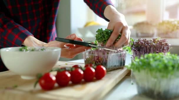 Rauw Biologisch Voedsel Vrouw Snijden Verse Microgreens Voor Salade Kom — Stockvideo