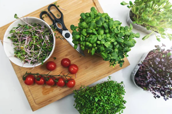 Preparing fresh salad from microgreens and vegetables — Stok fotoğraf