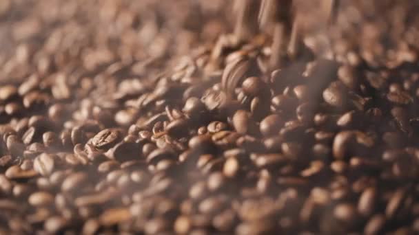 Roasted Coffee Beans Smoke Falling — Stock Video