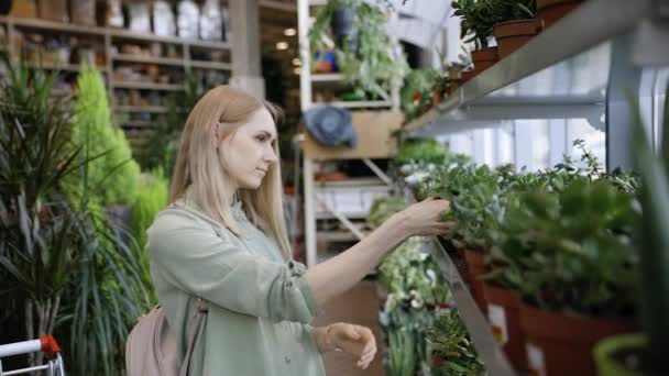 Young Woman Choosing Plants Her Home Garden Centre — Stock Video