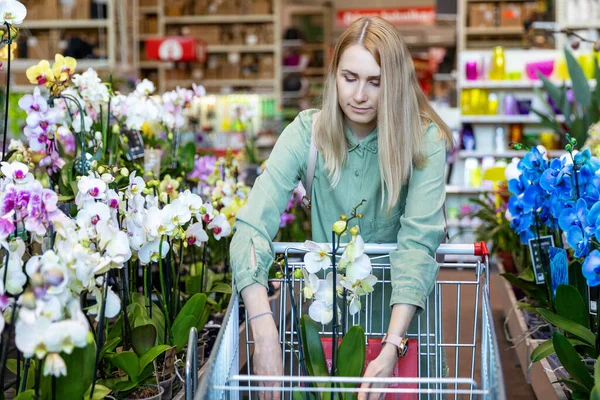 Frau Legte Orchideenblume Einkaufswagen Bei Gartenpflanzengeschäft — Stockfoto