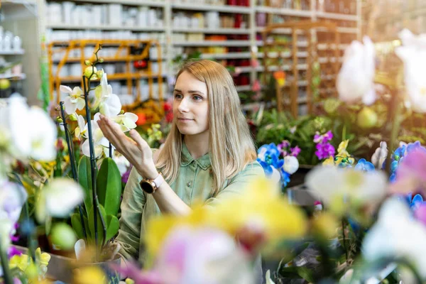 Junge Frau Wählt Orchideenblume Gartencenter — Stockfoto