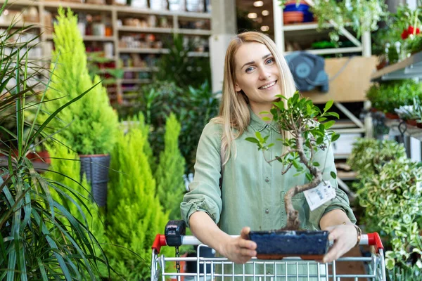 Lächelnde Frau Mit Bonsai Baum Pflanzenladen — Stockfoto