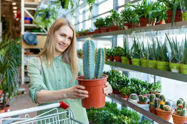 Frau Pflückt Topfkakteenpflanze Gartencenter — Stockfoto