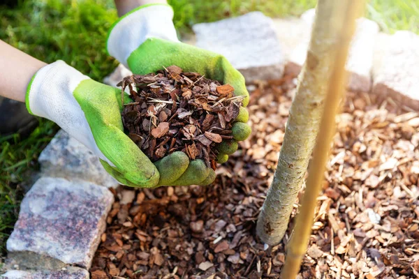 Mulching Flowerbed Pine Tree Bark Mulch — Stock Photo, Image