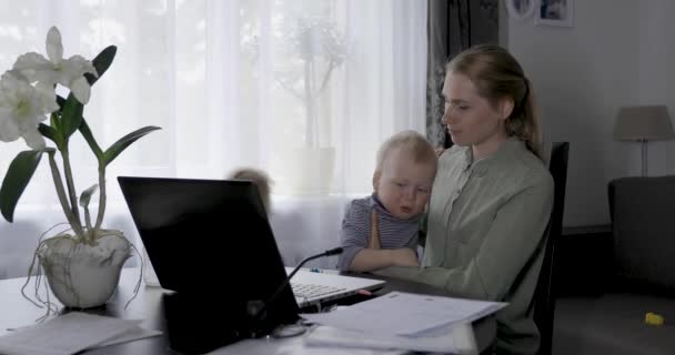 Γυναίκα Που Εργάζεται Από Σπίτι Χρήση Φορητού Υπολογιστή Στο Γραφείο — Αρχείο Βίντεο