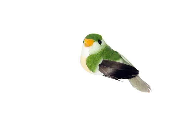Kleiner dekorativer Vogel — Stockfoto