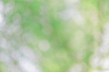 Beyaz bokeh yeşil zemin bulanıklık