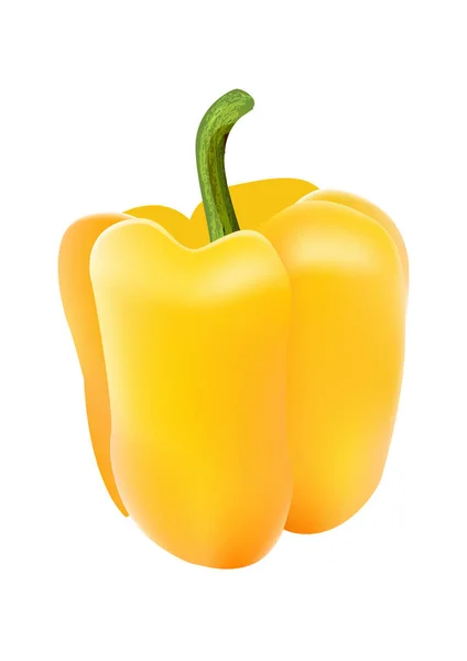 Žlutá sladká paprika. Vektorové ilustrace — Stockový vektor