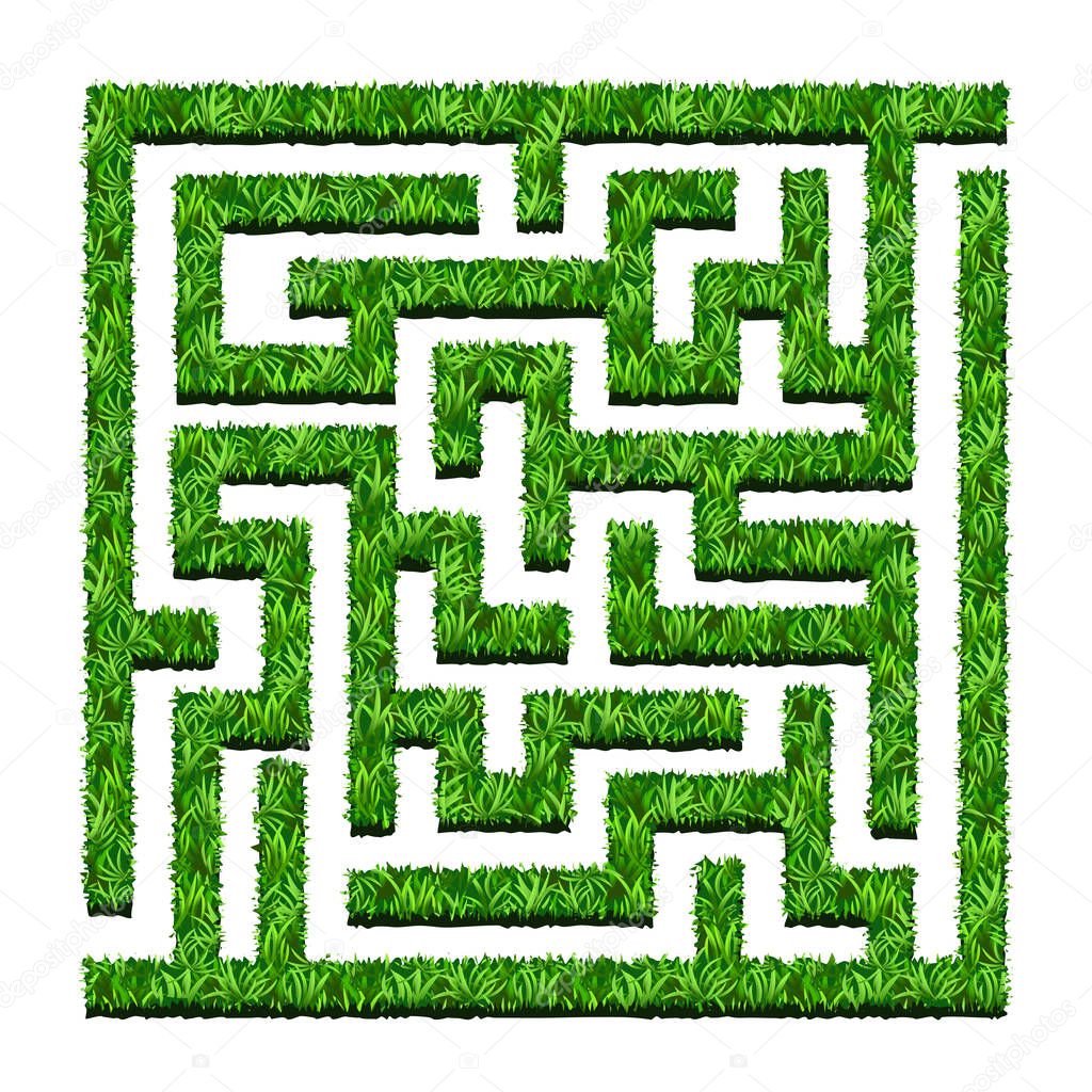 Maze of green bushes, labyrinth garden. Vector, isolated