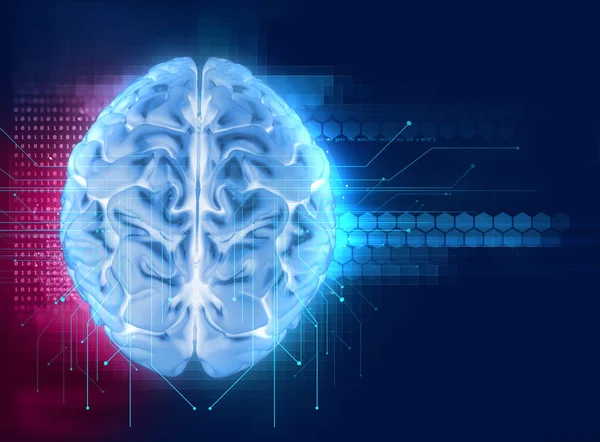 3d 렌더링 기술 배경에 인간 두뇌의 — 스톡 사진