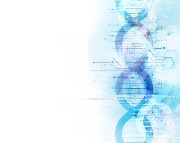 3d ілюстрація людської голови на молекулах ДНК абстрактний технол — стокове фото