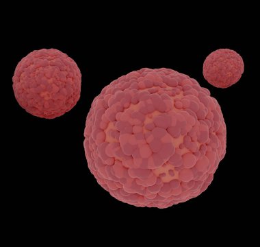 nCov coronavirus mikroskop resmi