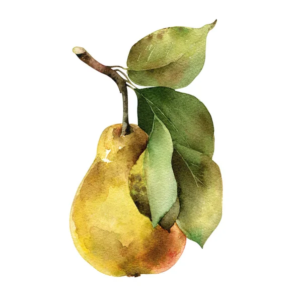 Pear with leaves — Stock Photo, Image