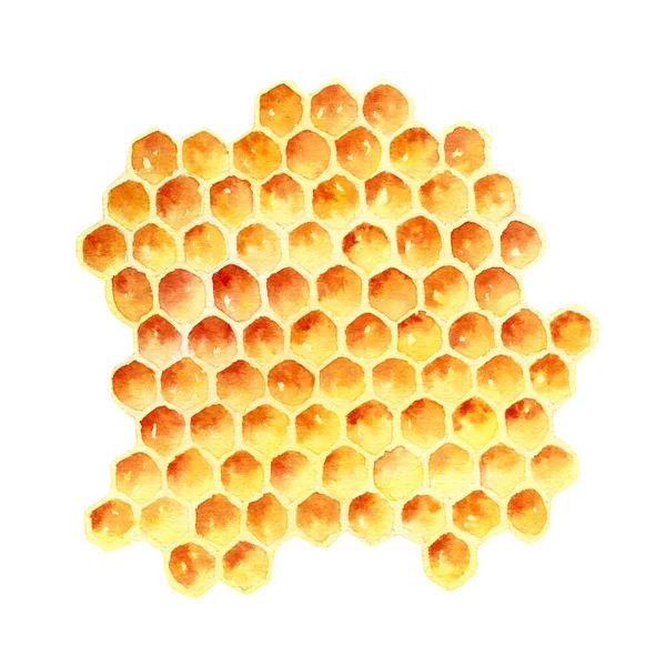Watercolor honeycomb isolated on white background — Stok fotoğraf