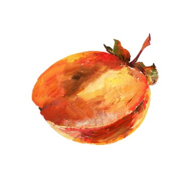 Persimmon half on white background. Oil painting