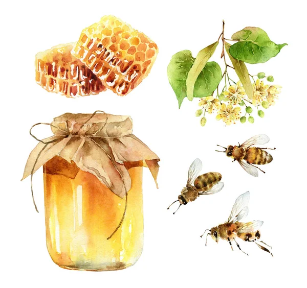 白色背景上的一组水彩画蜂蜜设计元素 — 图库照片