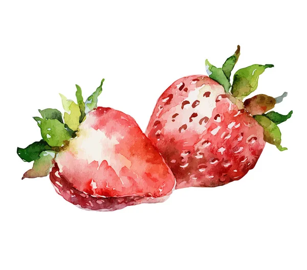 Watercolor vector strawberry on white background — Stock Vector