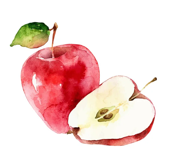 Aquarell-Vektoräpfel auf weißem Hintergrund — Stockvektor