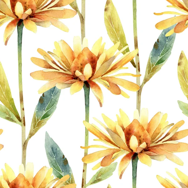 Watercolor seamless pattern with rudbeckia flower — Stock Photo, Image