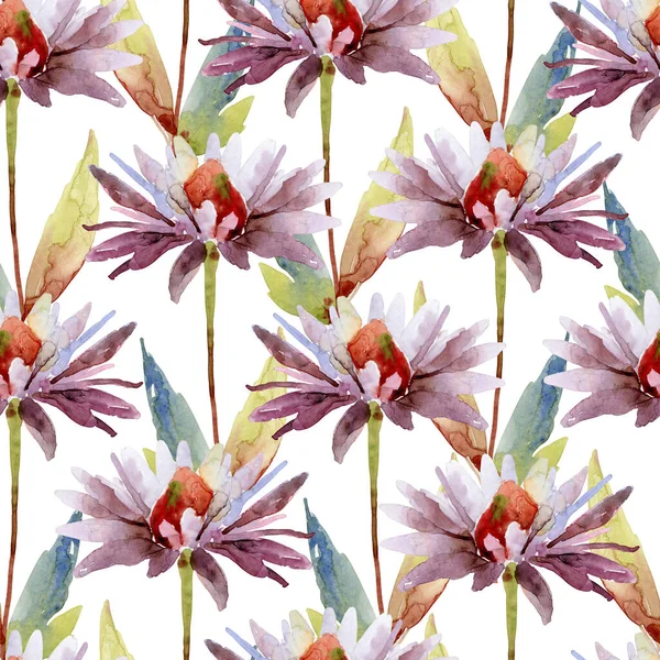 エキナセア純尿素花と水彩シームレスパターン — ストック写真