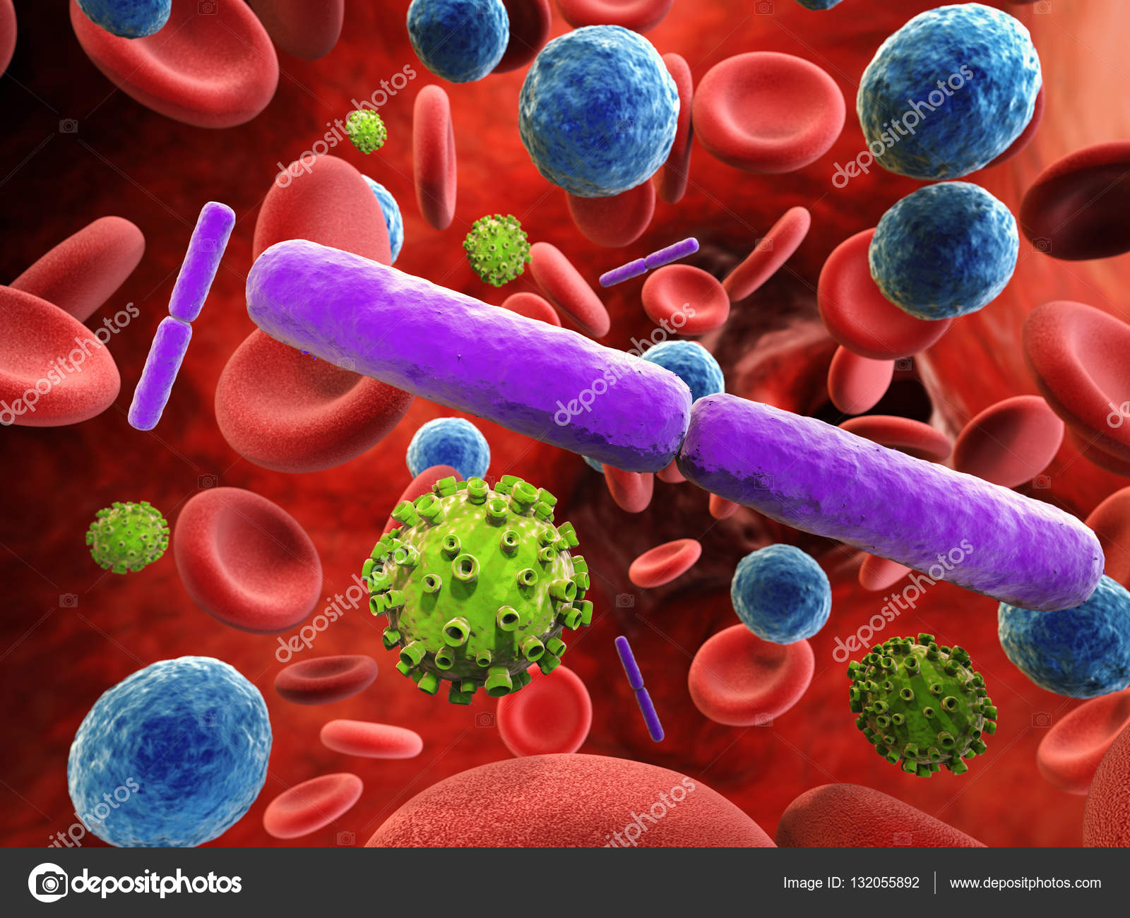 INFECCIÓN – Valeria Cruz Coutiño