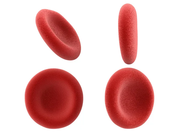 Sel darah merah terisolasi pada warna putih — Stok Foto