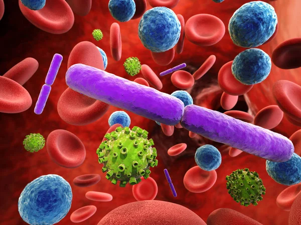 Blodinfeksjon med bakterier og virusceller – stockfoto