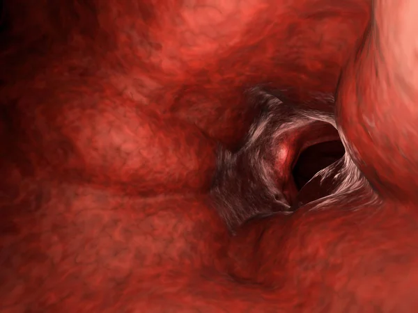 Vaso sanguíneo en el interior — Foto de Stock