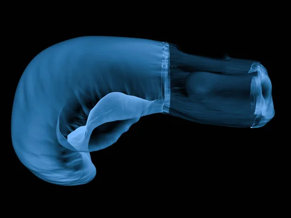 Γάντι του μποξ x ray απομονώνονται σε μαύρο — Φωτογραφία Αρχείου