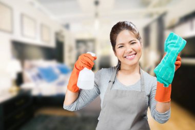 holding püskürtülen ilaç şişe ve bez Asya ev kadını