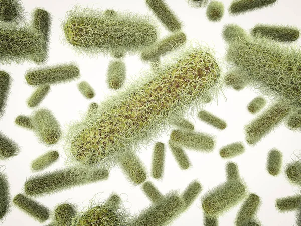 Pegamento forma bacterias células — Foto de Stock