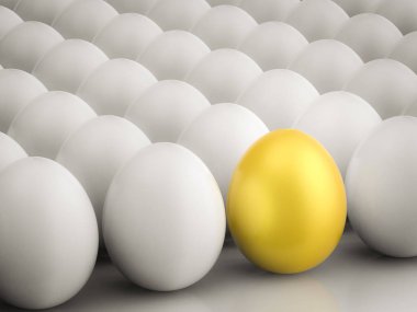 altın yumurta ile liderlik kavramı