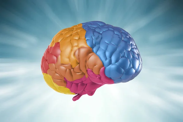 Cerveau coloré pour concept de créativité — Photo