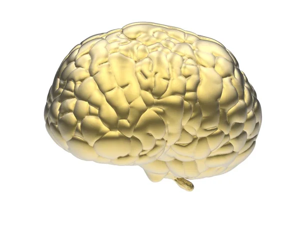 Cérebro dourado isolado — Fotografia de Stock