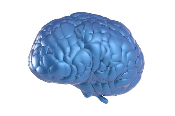 Cerebro azul aislado — Foto de Stock