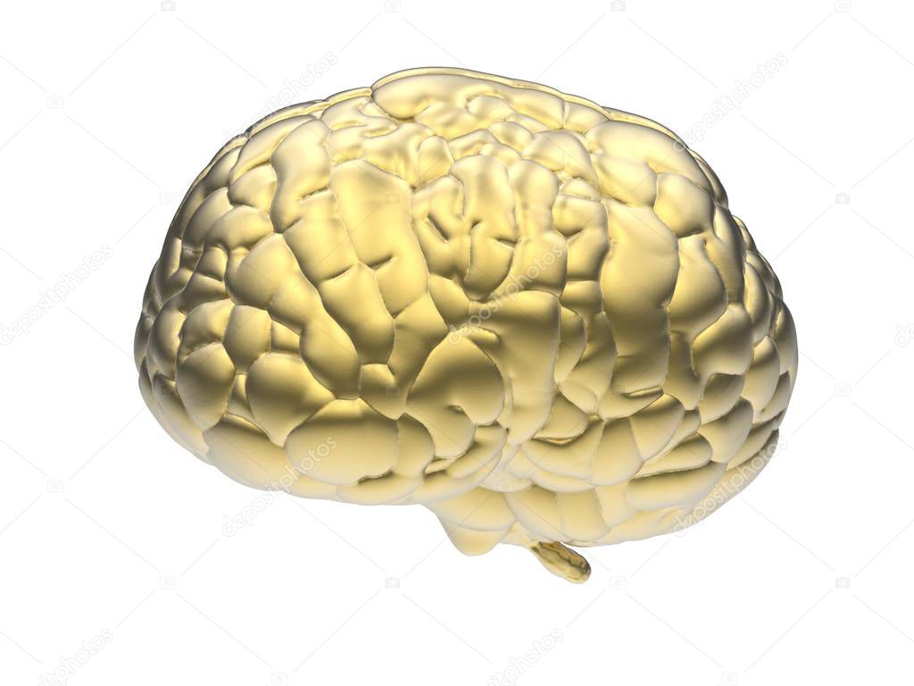 golden brain isolated