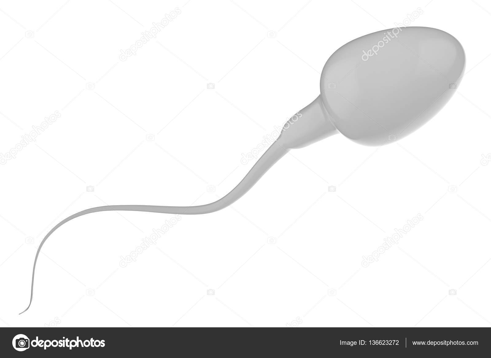 White sperm isolated on white ⬇ Stock Photo, Image by © phonlamai #136623272