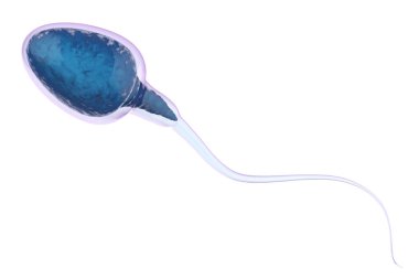 blue sperm isolated on white clipart