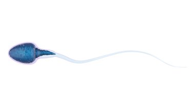 beyaz izole mavi sperm