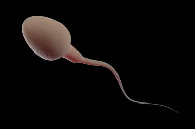 siyah izole sperm