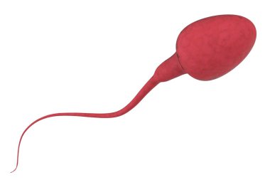 red sperm isolated on white clipart
