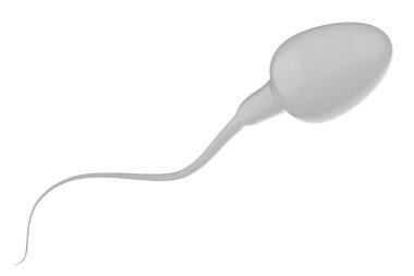 Beyaz sperm üzerinde beyaz izole