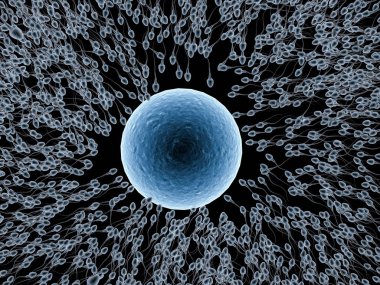 x ışını sperm ile yumurta