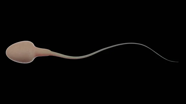 Сперма выделена на черном — стоковое фото