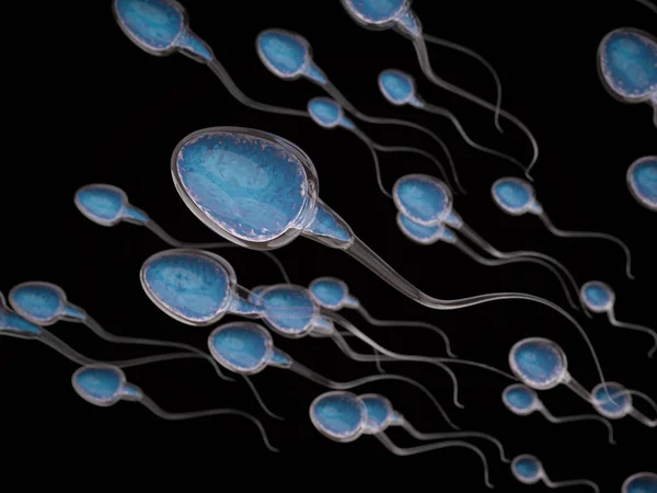 Grupo de espermatozóides — Fotografia de Stock