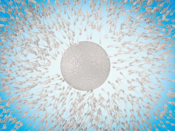 Esperma com óvulo — Fotografia de Stock