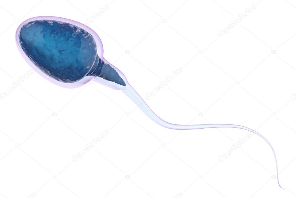 blue sperm isolated on white